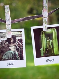 ShellShott Photography