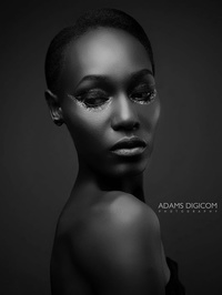 African blackfox Model