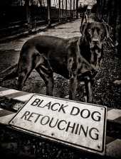 blackdogretouching