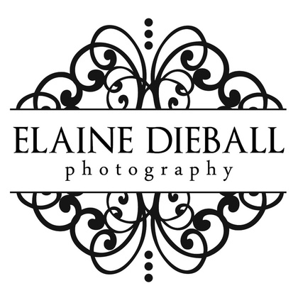 Elaine Dieball