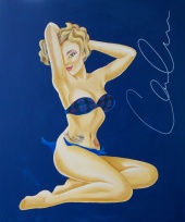 Pin Up Project