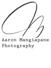 Aaron Mangiapane