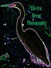 Electric Heron