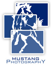 MustangPhotography