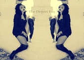The Desert Foxx