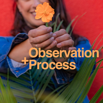 Observation and Process