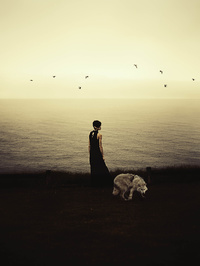Sian Grahl Photography 
