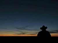 Wandering_Cowboy
