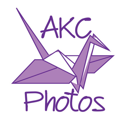 AKC Photography