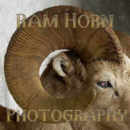 RamHorn