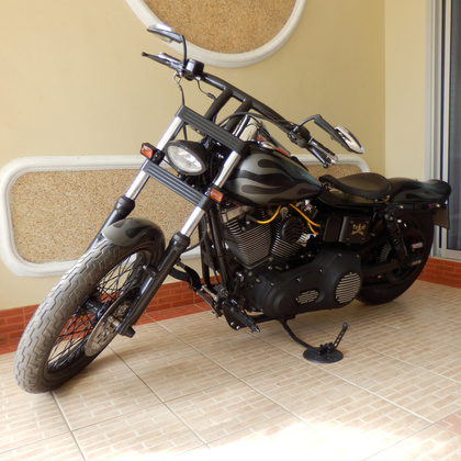 Harley-Rider