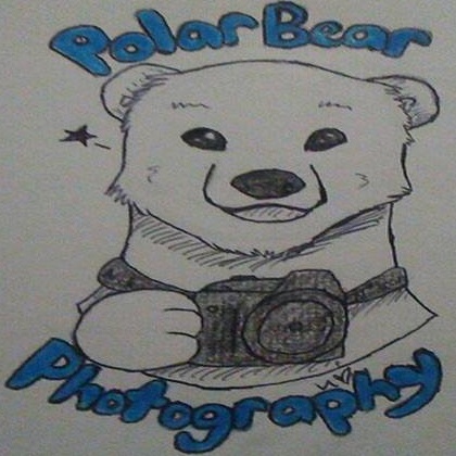 Polarbear Photography