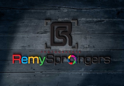 Remy Sprangers