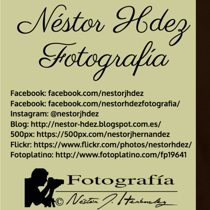 Nestor Hdez