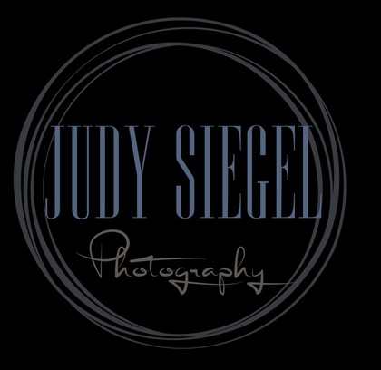 Judy Siegel Photography