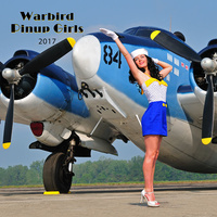 Warbird Pinup Girls