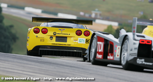 Male model photo shoot of Forrest Egan in ALMS Petit Le Mans - Road Atlanta