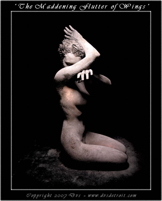 0 and Female model photo shoot of DVS and Lela Rae in centuries later fossilized in an eternal embrace as haven from this cataclysmal event. This series is not to exploit their great anguish and death, but to reflect upon the compassion they sought within each other in their final moments of life.
