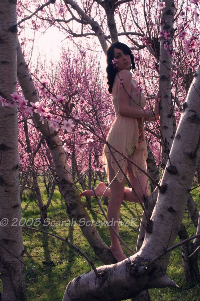 Female model photo shoot of Scarah ScrewdriveR and CreepyLee in Peach tree field. 