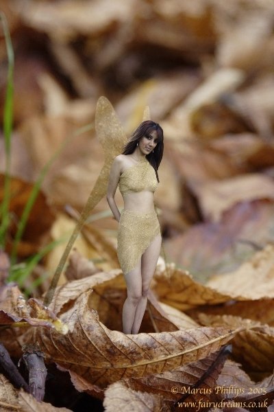 Female model photo shoot of Ramilla Sisodia in Fairyland