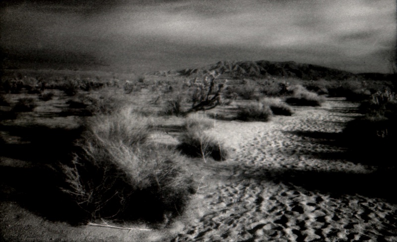 Male model photo shoot of the bleeding grounds in Anza-Borrego Desert, CA