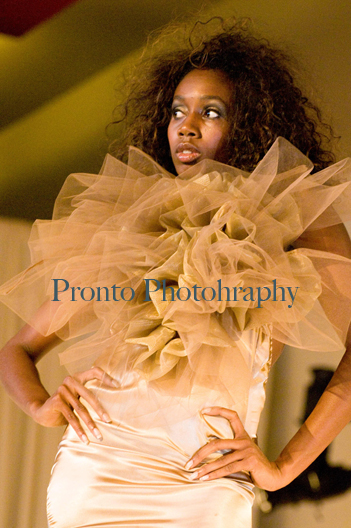 Female model photo shoot of Pronto Photography in DC