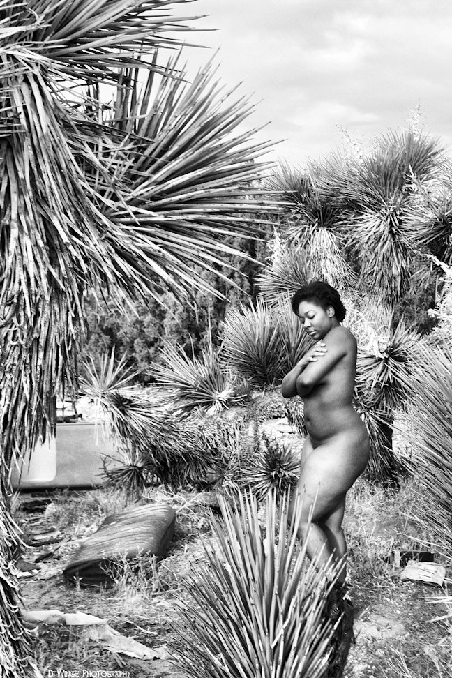 Female model photo shoot of JQuDee by D Winge Photography in Southern California