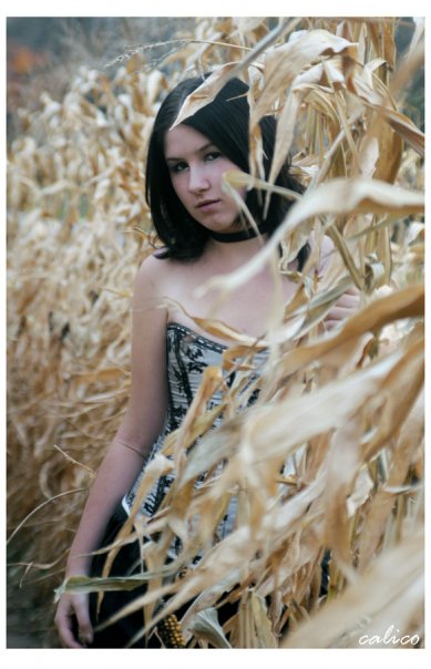 Female model photo shoot of Sarah Denham by Calico Roni Rosenberg in Corn Field