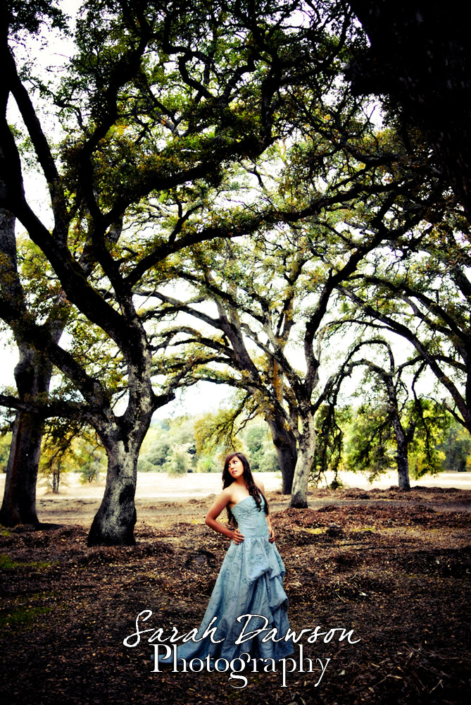 Female model photo shoot of Sarah Dawson Photography in Rocklin,CA