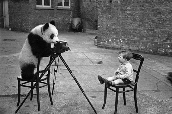 Female model photo shoot of Ninja Panda