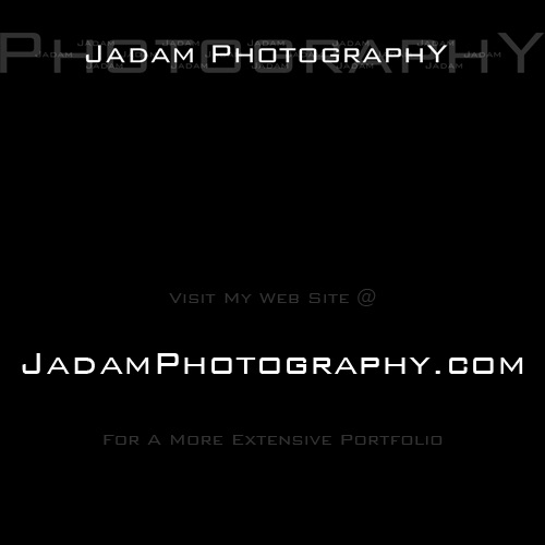 Male model photo shoot of Jadam Photography