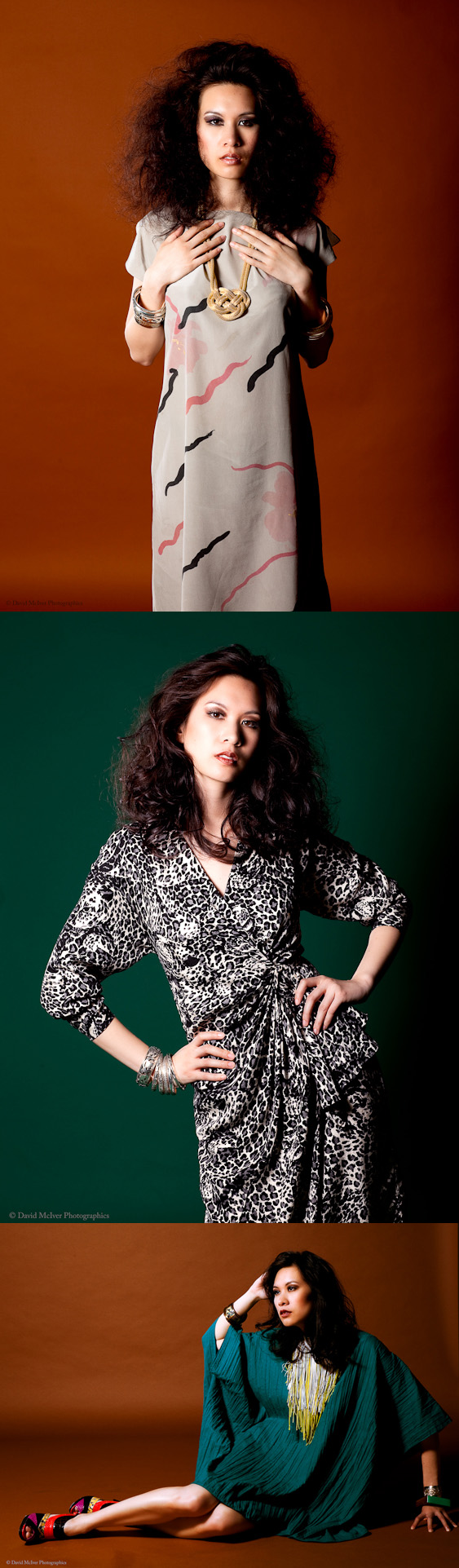 Female model photo shoot of Vivien H by David M Photo in Toronto, hair styled by Carlos Spellbound, makeup by Natasha Desjardins
