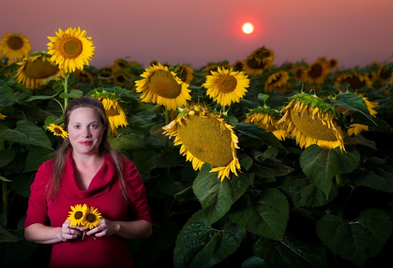 Male model photo shoot of Mostly Harmless Imagery in Sunflower Field in Loveland, CO