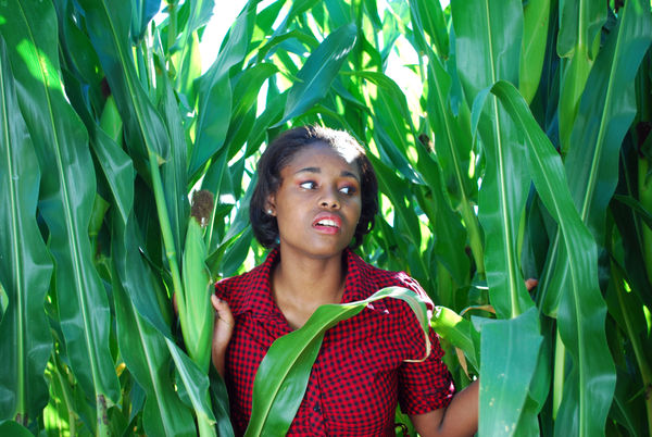 Female model photo shoot of Tabria etuk in corn maze