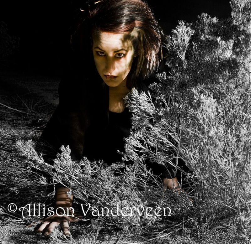 Female model photo shoot of Allison Vanderveen in Littlerock, California, USA