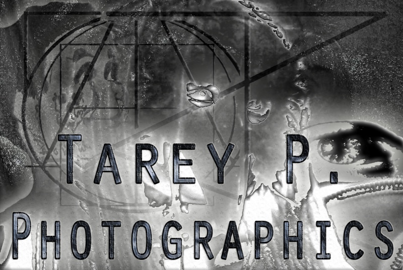 Male model photo shoot of Tarey P Photographics in Thee Art Of