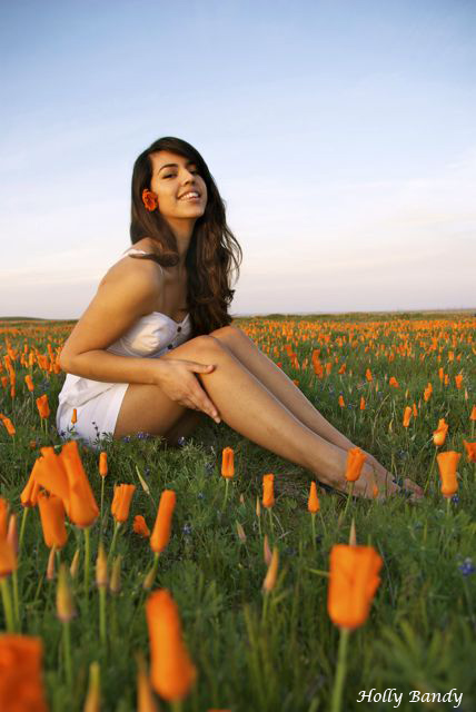 Female model photo shoot of Holly Bandy in California Poppy Feilds