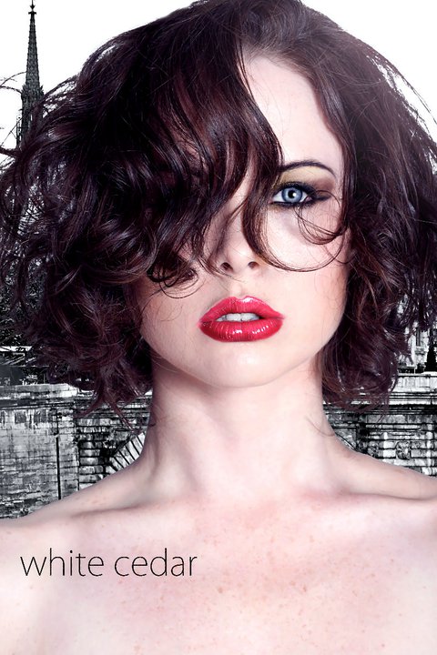 Female model photo shoot of Elleinyyc by White Cedar Photography