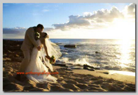 Male model photo shoot of Hawaii Wedding Photos in Honolulu Hawaii
