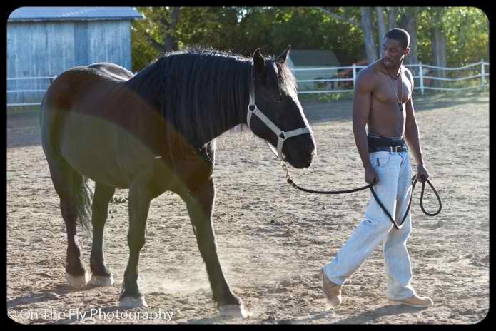 Male model photo shoot of Archangel Sir in Fort Collins, CO (Horse Ranch)