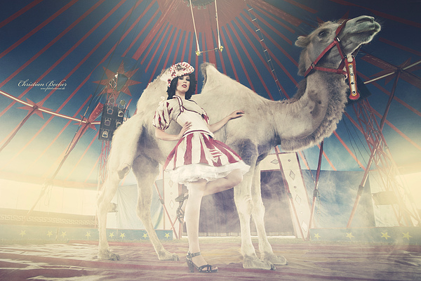 Female model photo shoot of CinnamonCherie in Circus Constanze Busch