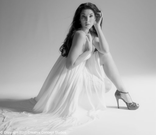 Female model photo shoot of Renee L Turner in Creative Concepts Studios