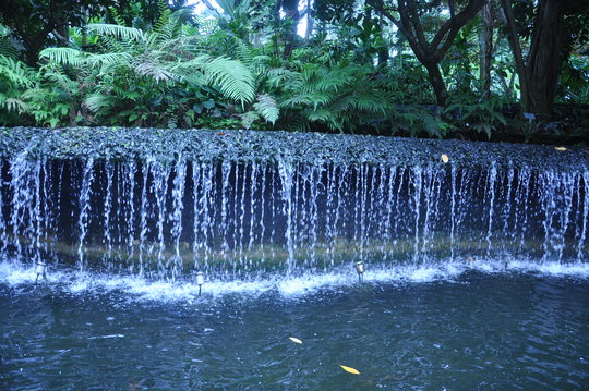 Male model photo shoot of Mensanguy in Botanic Garden Waterfall