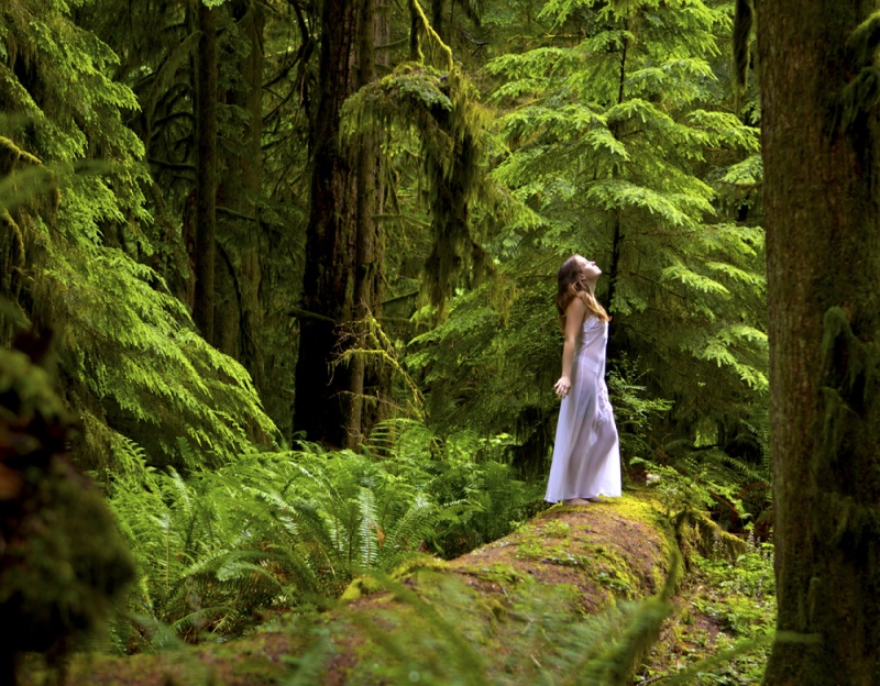 Male and Female model photo shoot of RSWPhotographic and Lindsey Viala in Cathedral Grove, Vancouver Island