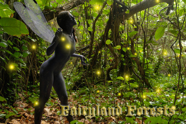Male and Female model photo shoot of Scott Kennelly and ViennaJasmin in secret fairy forest