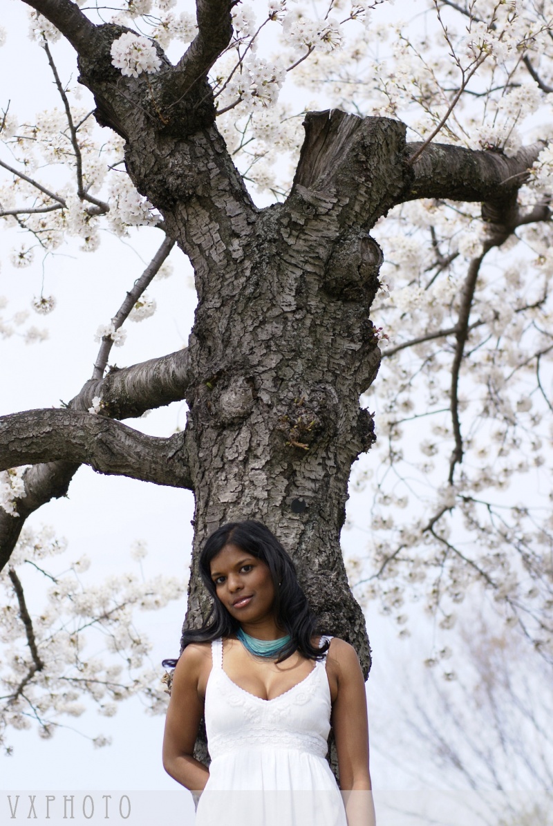 Female model photo shoot of Surekha by Chickpeaworld in Cherry Blossom Festival, DC