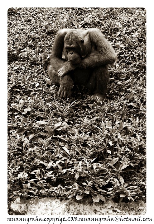 Male model photo shoot of Jox in bandung animal zoo