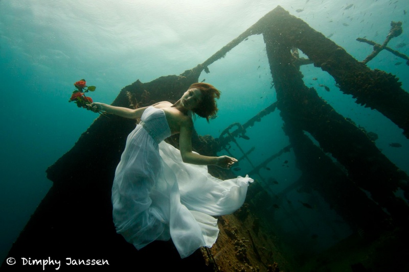 Female model photo shoot of Kimberley Nutbey in Antilla ship wreck Caribbean Ocean