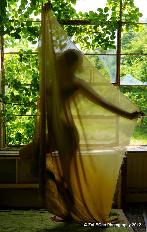 Female model photo shoot of Void SansAnge by Jason Zalenski - ZaLE in Leiccester, MA