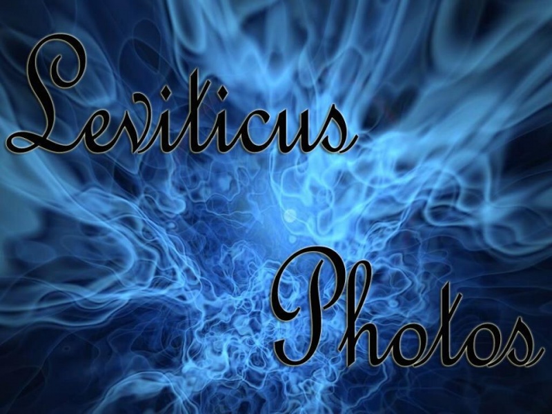 Male model photo shoot of leviticus photography